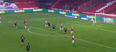 《艾尔登法环》幽影树化身：揭秘阶段数量与战斗策略